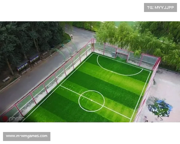 社区足球场扩建计划获批，城市绿地与体育设施平衡争议